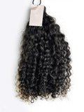 Burmese Curly
