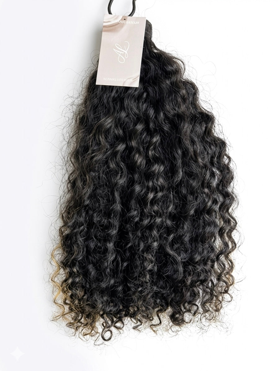 Burmese Curly